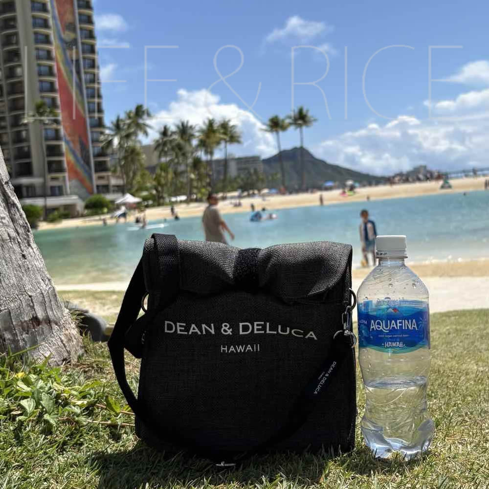 ハワイDEAN&DELUCA★カカアコ店限定保冷バッグ黒 (ショルダー無) ハワイDEAN&DELUCA☆カカアコ店限定保冷バッグ黒 (ショルダー無