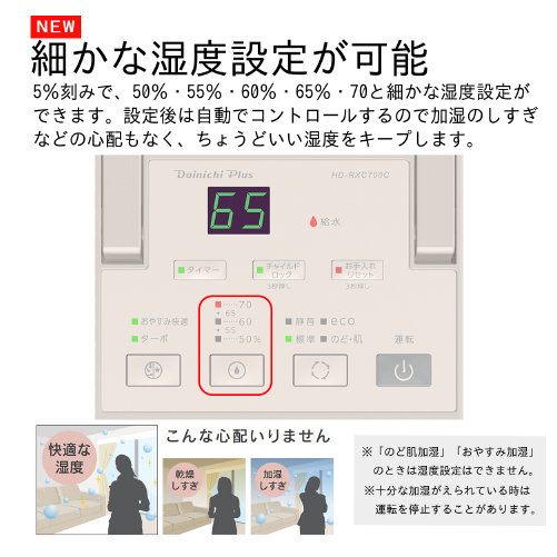 ダイニチ（Dainichi） DAINICHI HD-RXC700C-T ハイブリッド式加湿器[温