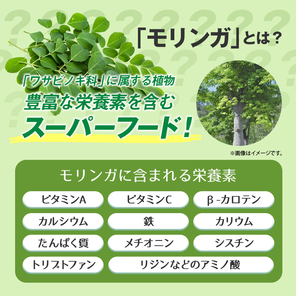 Royal BS 毎日モリンガ粒 約3ヶ月分 270粒 公式 サプリ モリンガ