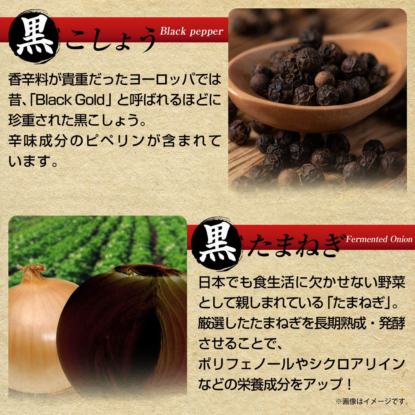 Royal BS 黒しょうがの力 約3ヶ月分 180粒 公式 サプリ 黒ショウガ 黒