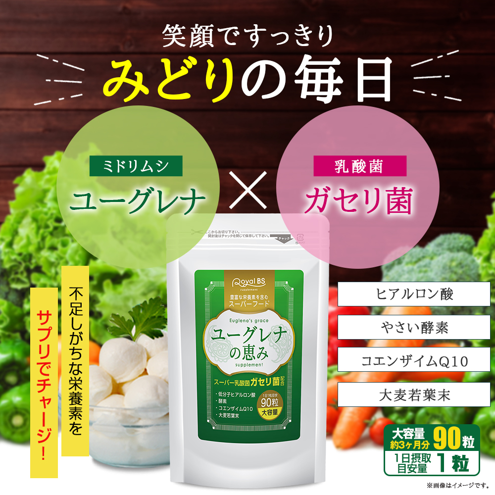 ユーグレナの恵み 90粒 [メール便対応商品] ユーグレナ