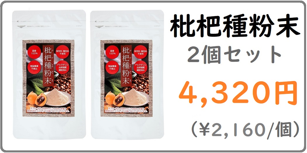 枇杷種粉末 １００ｇ 長崎産茂木ビワ種100％ ２個セット びわ ビワ