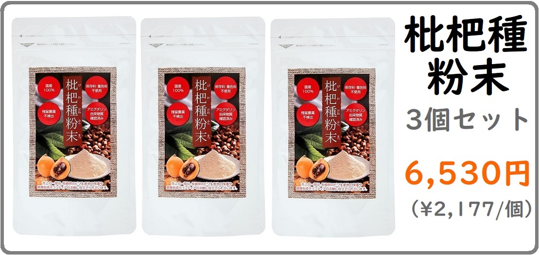 人気ショップが最安値挑戦 枇杷種粉末は九州産ビワ種100 保存料不使用 着色料不使用 びわのたねを飲みやすく粉末化 枇杷種粉末 100g 2袋セット エス エフ シー 枇杷の種 国産 長崎県産 ビワの種使用 びわのたね 粉末 飲みやすい 健康食品 お得なまとめ買い2袋セット