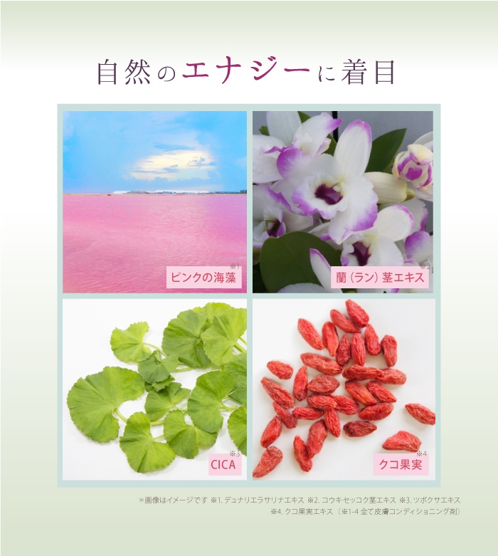 SAIMDANG（サイムダン） (2個セット) プレミアム STEM モイスチャー