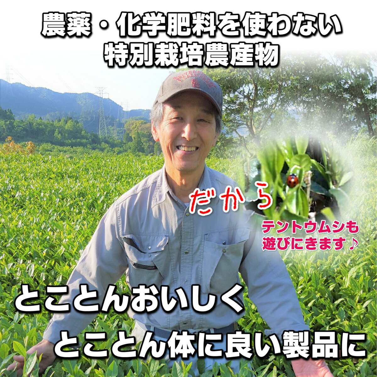商品画像5