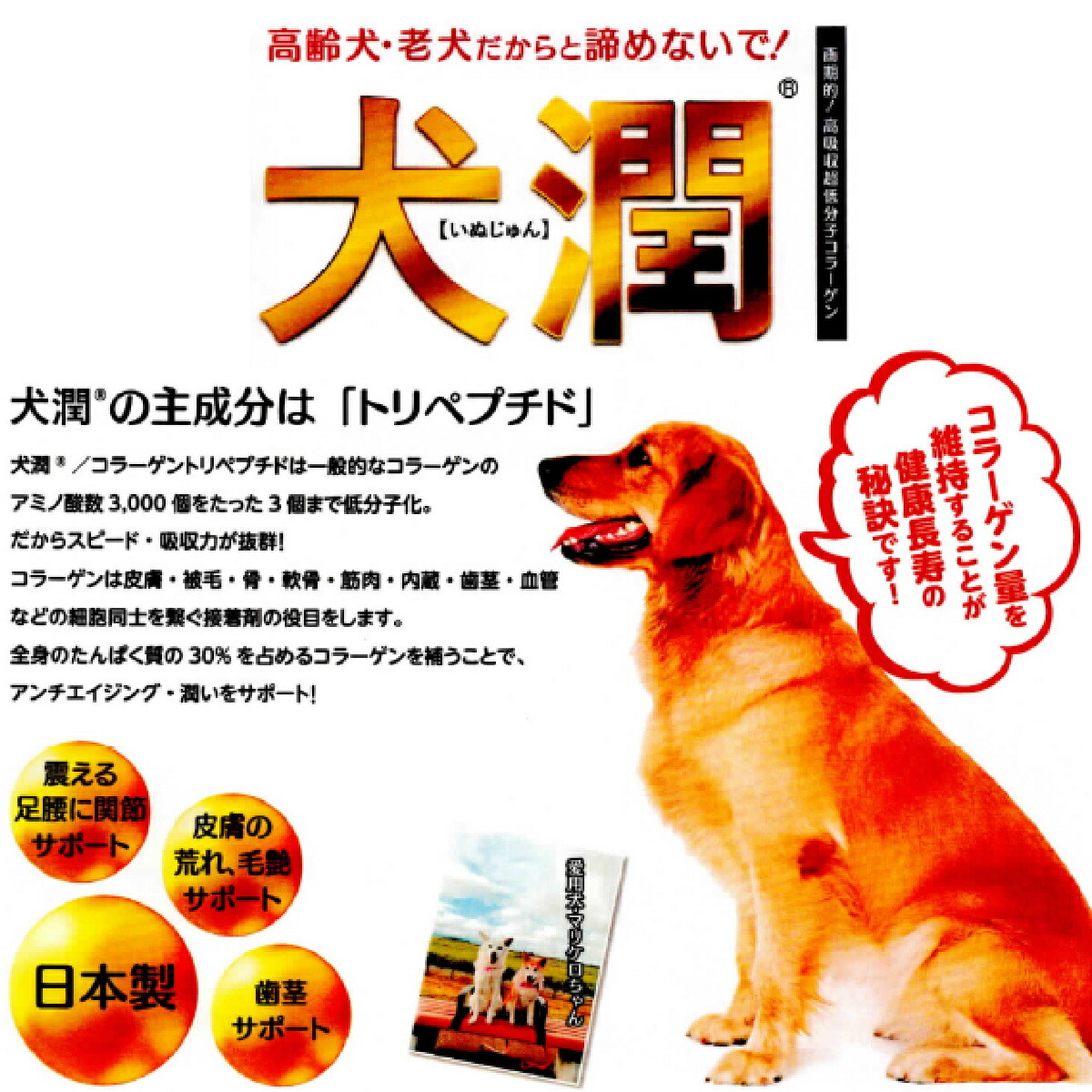 商品画像6