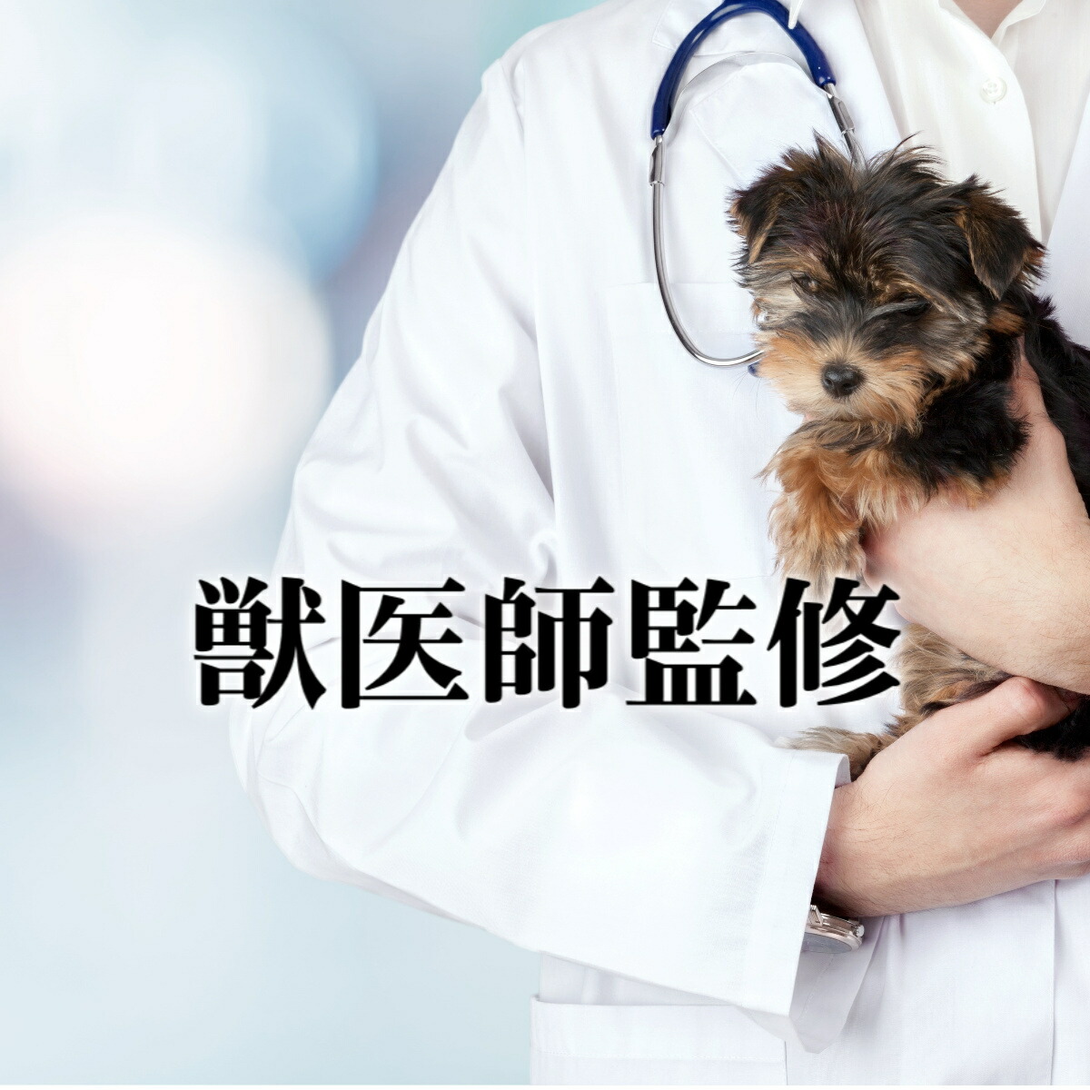 商品画像6