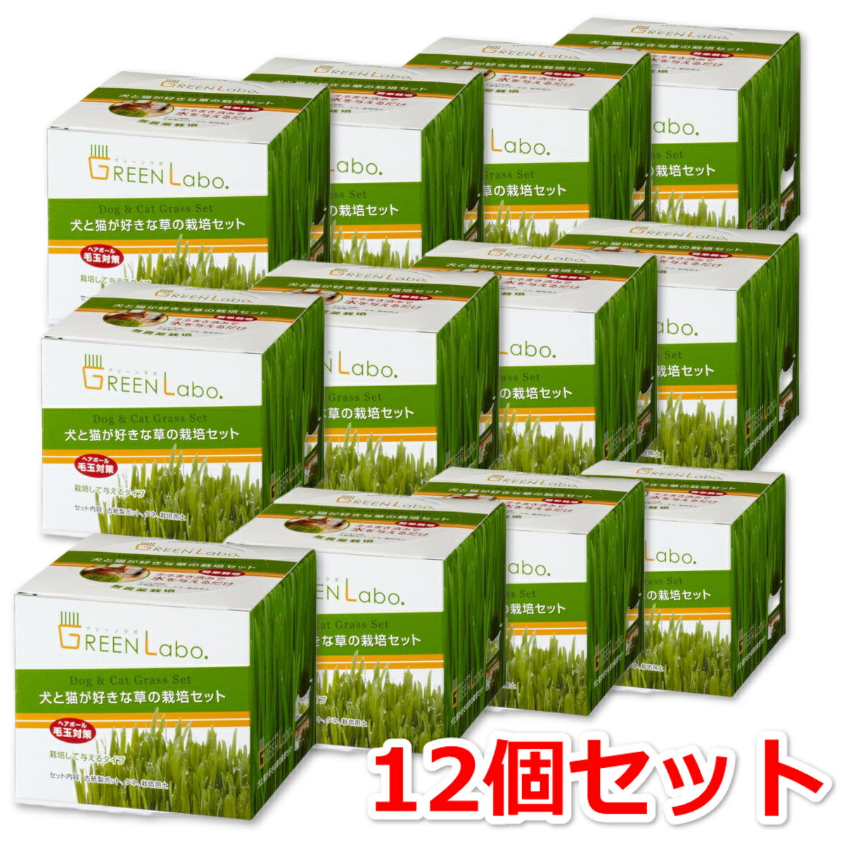 GreenLabo 犬と猫が好きな草の栽培セット ×12個セット グリーンラボ 猫草 送料無料