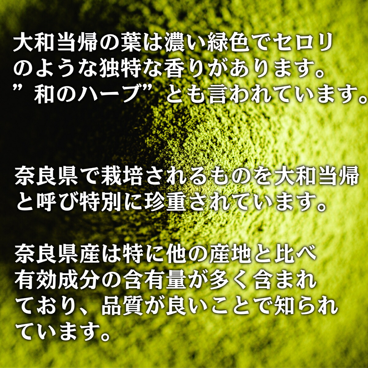 商品画像4