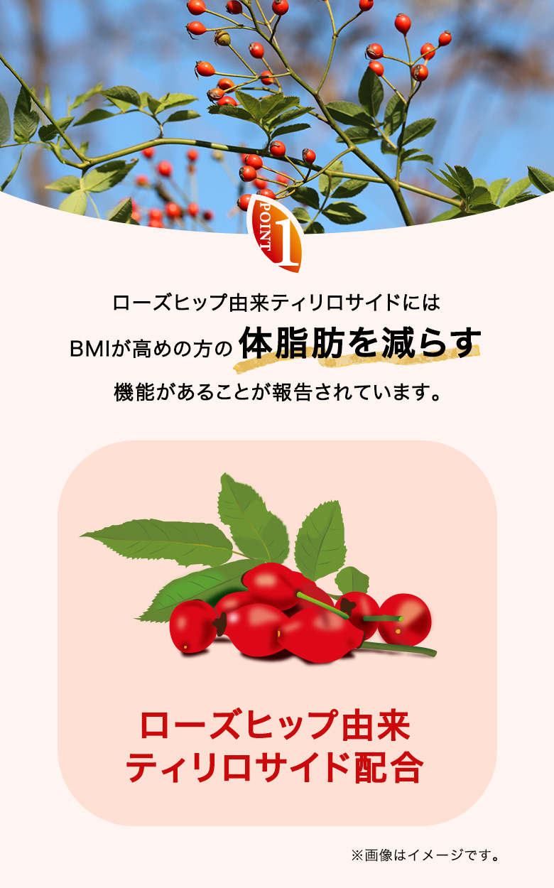 身体についた脂肪を減らす