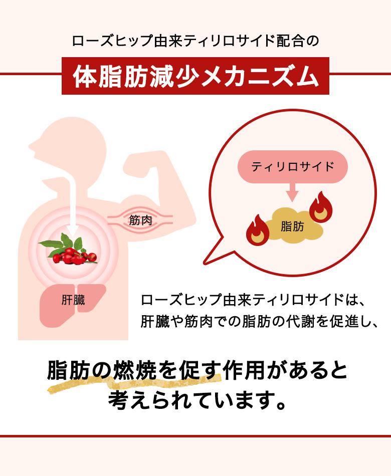 脂肪減少効果