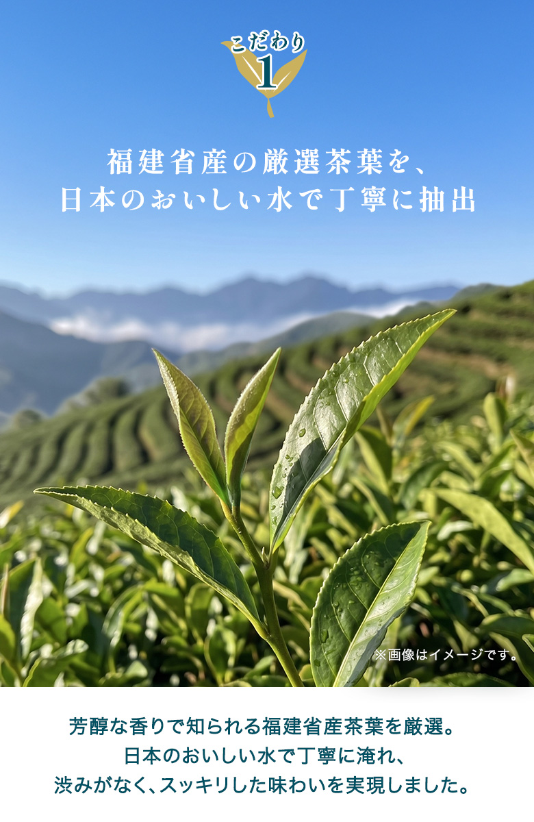 彩茶 -あやちゃ- 烏龍茶