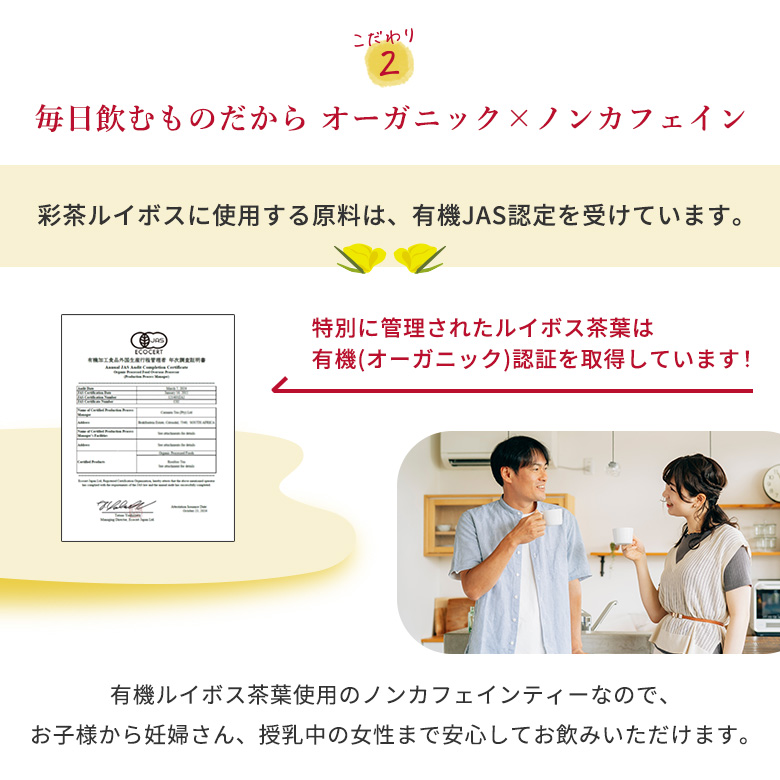 ルイボスティー 【 彩茶 -あやちゃ- ルイボス 】 お茶 500ml×24本 ペットボトル 送料無料 ライフドリンクカンパニー まとめ買い ノンカフェイン ポイント利用 | LIFEDRINK | 06