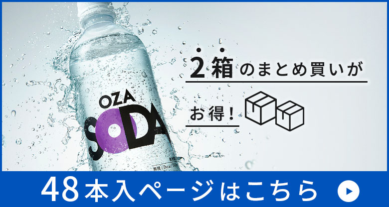 シリカ48本