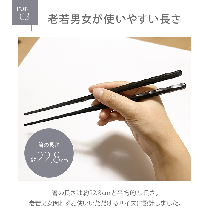 業務用箸 日本製 箸 食洗器対応 10膳セット PBT 樹脂箸 すべらない箸 