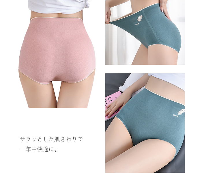 ショーツ レディース シームレス ショーツ コットン 綿 深め スタンダード パンティー パンツ 夏用 下着 シンプル 無地 ハイウエスト ヒップアップ 女性用 関連画像2