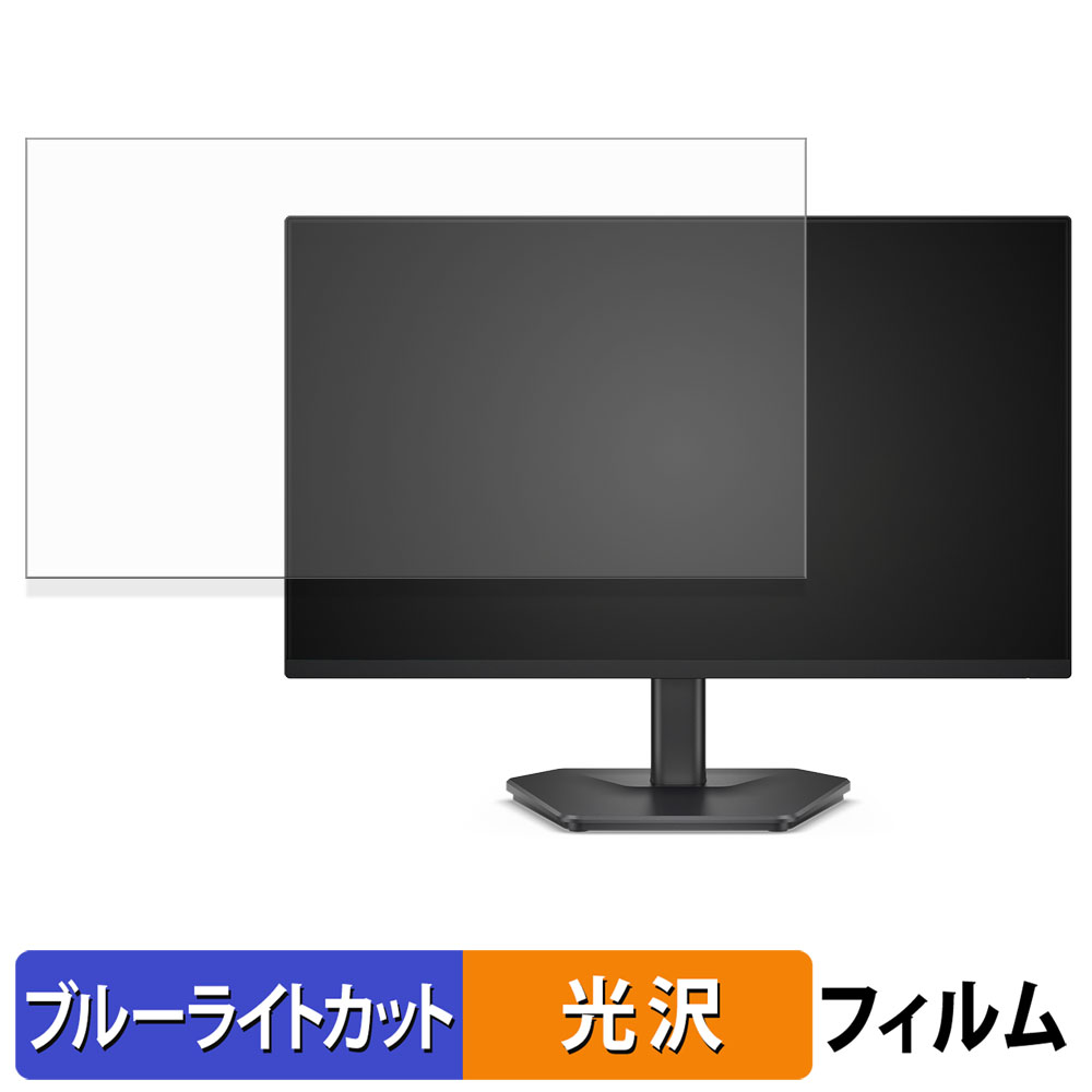 DELL SE2425HG ブルーライトカット 保護 フィルム 光沢仕様 : ライフ