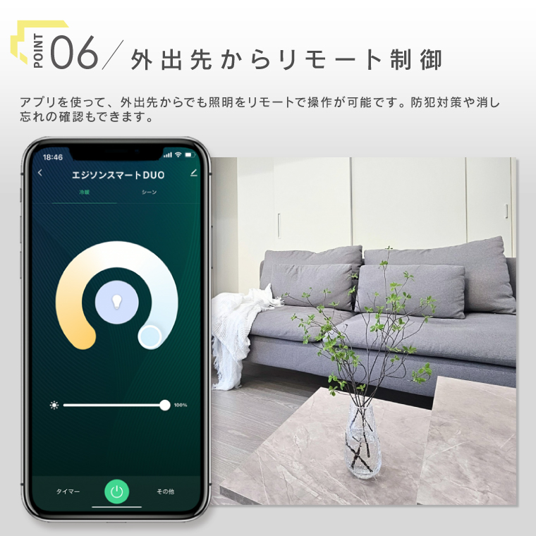 スマート電球 E17 E26 alexa エジソンバルブLEDスマート DUO ハーフミラー ゴールド 鏡面加工 調光調色 スマホ WiFi ボール球 ミニボール型 エジソンスマート | EdisonBulb | 12