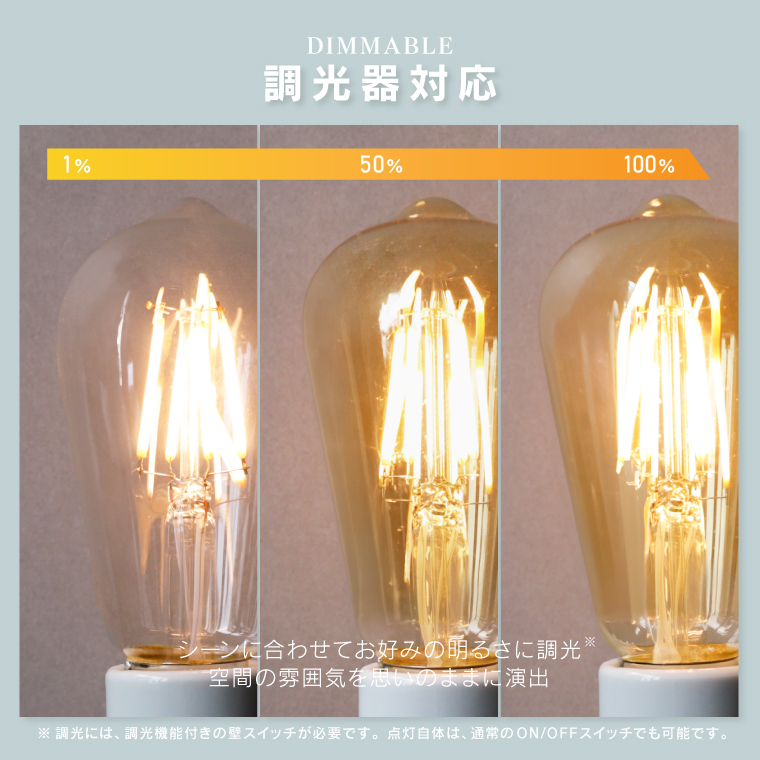 EdisonBulb 2個セット エジソンバルブLED フィラメント電球 E26 口金