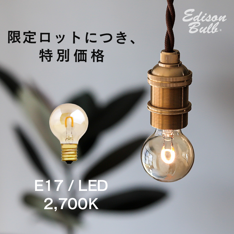 EdisonBulb 【2700Kタイプ】E17口金 LED電球 エジソンバルブ シングル
