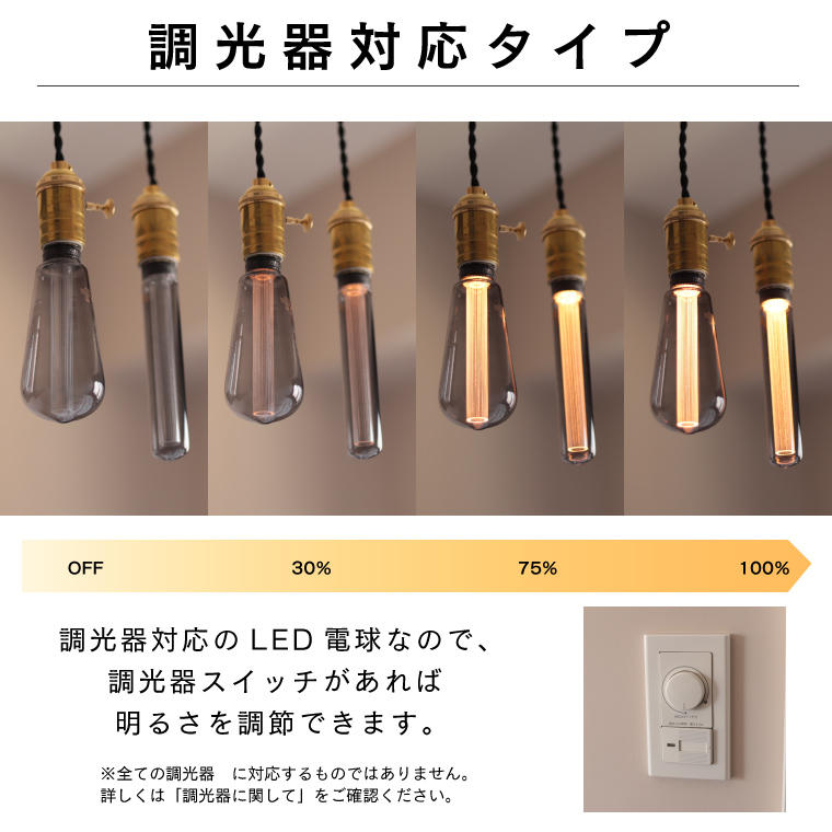 エジソン電球 モダン LED電球 E26 調光器対応 おしゃれ EdisonBulb チューブ ゴールド グレー スタイリッシュ レトロ 裸電球 色 暗い シンプル 高級感 ランプ | EdisonBulb | 07