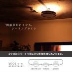 エジソンスマート LED デュアルシーリングラ...の詳細画像2