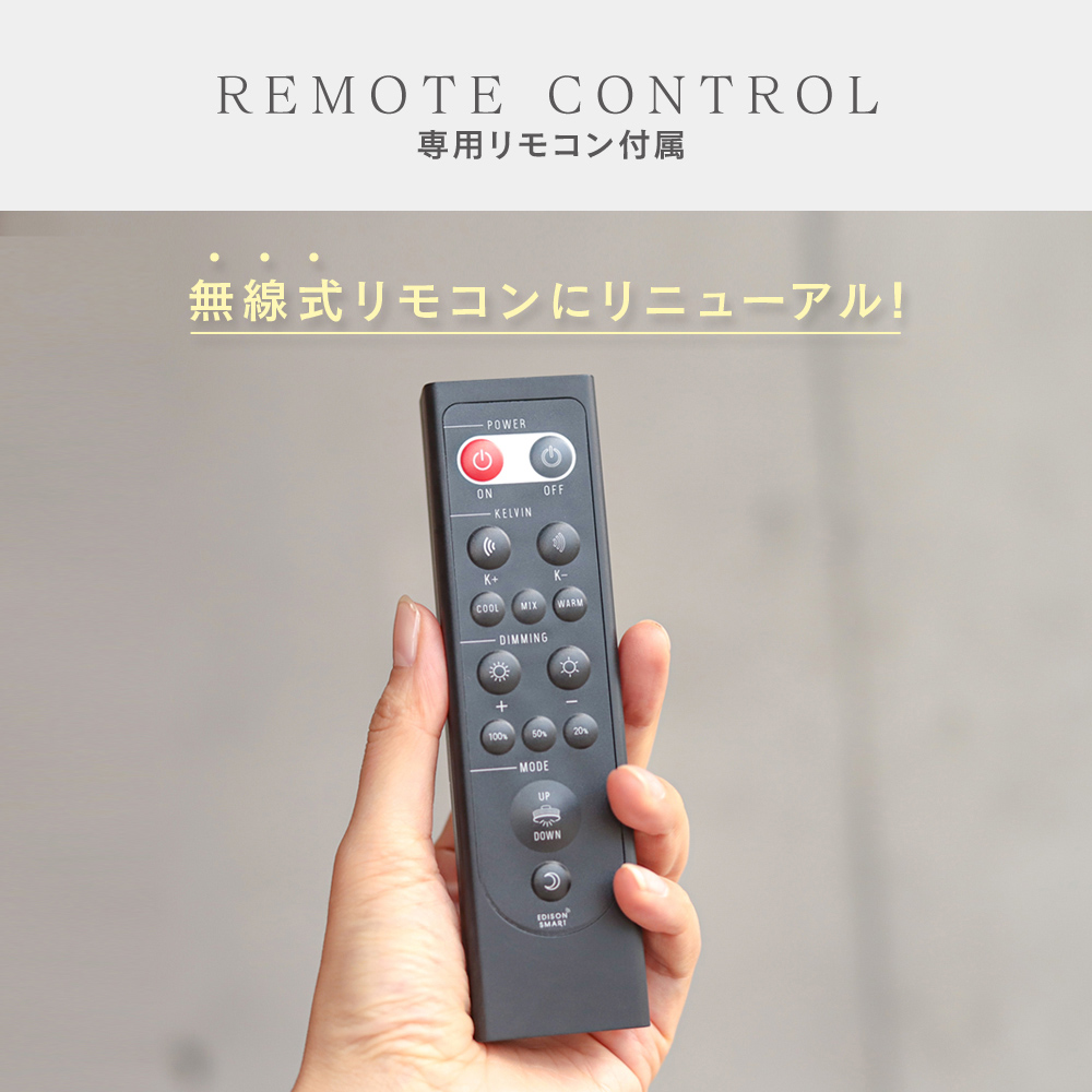 Edison Smart（エジソンスマート） LED デュアルシーリングライト 12畳