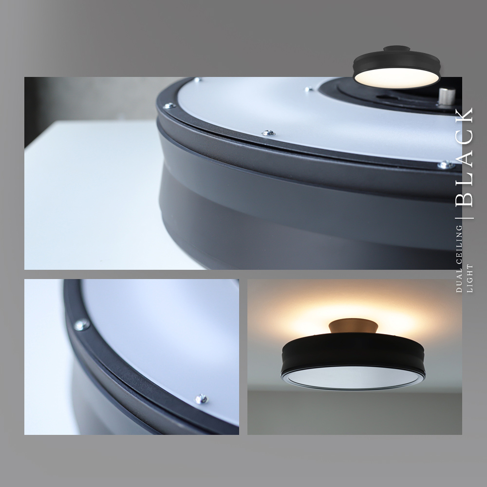 Edison Smart（エジソンスマート） LED デュアルシーリングライト 12畳