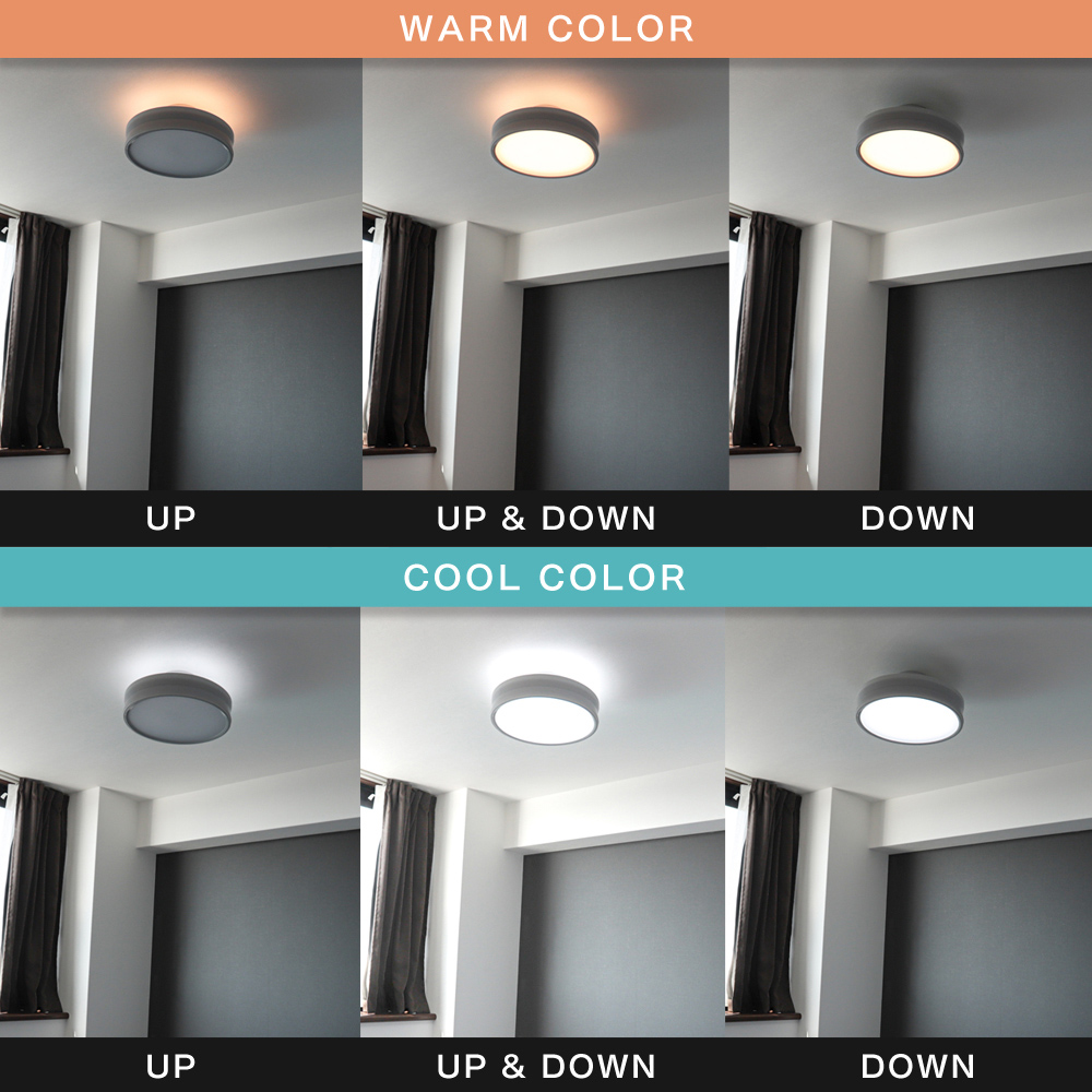 Edison Smart（エジソンスマート） LED デュアルシーリングライト 12畳