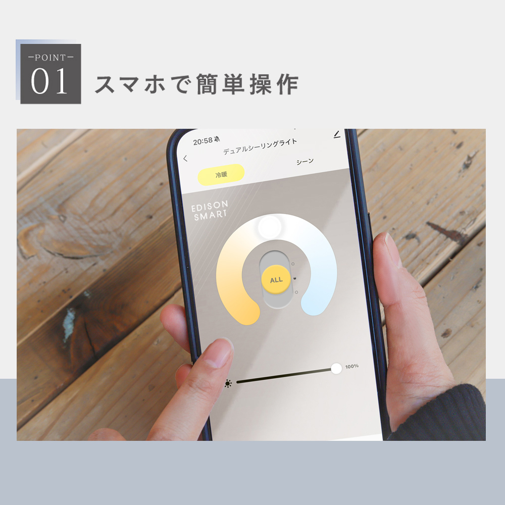 Edison Smart（エジソンスマート） LED デュアルシーリングライト 12畳