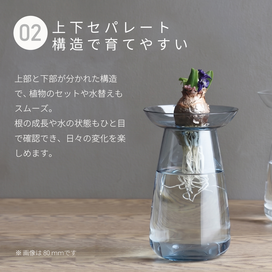 ヒヤシンス 水栽培のおすすめ人気商品一覧 通販 - Yahoo!ショッピング