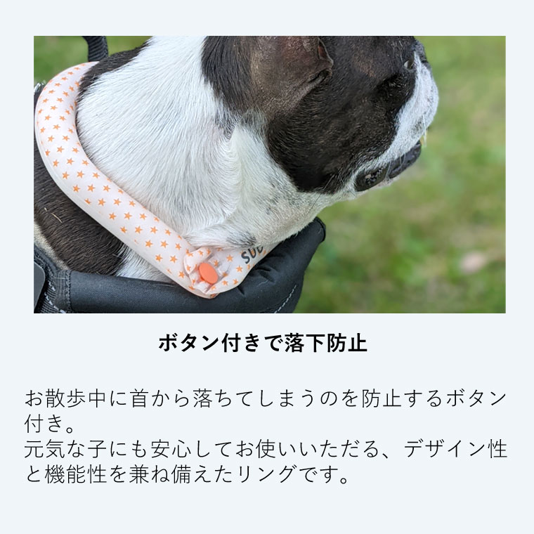 SUO クールリング for dogs 正規販売店 2024モデル 犬用 28℃ ICE COOL RING SSサイズ ボタン付き バンド アイスリング 冷感 暑さ 熱中症対策 ペット用 グッズ｜lifeis-y｜06