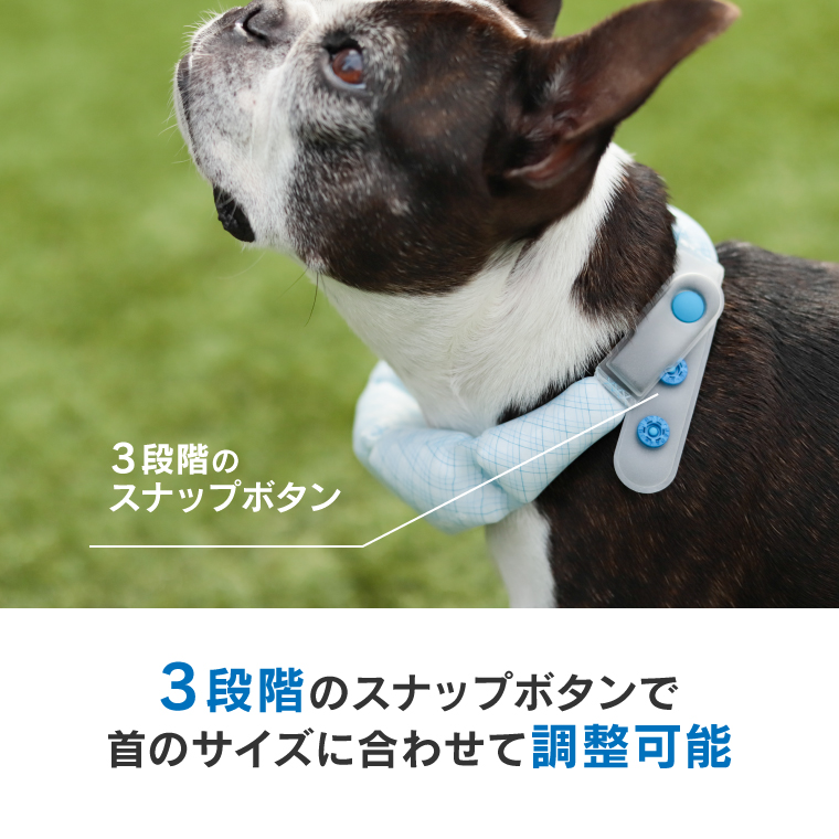 SUO 犬 2026モデル クールネックバンド アイスリング 保冷剤 for dogs