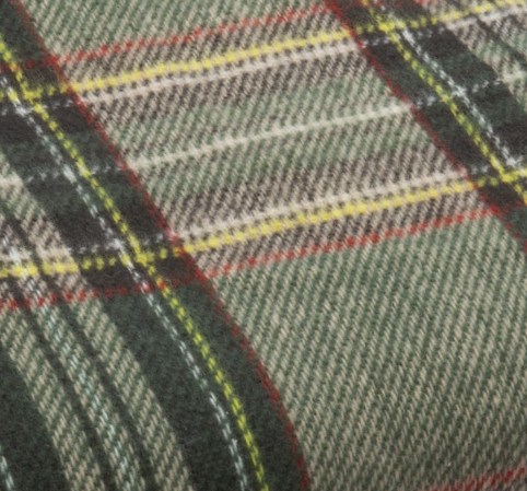 ライフジョイ 電気ひざ掛け 本製 グリーン チェック柄 160cm×82cm 電気毛布 洗える ブランケット 大判 ふわふわ あったか JPN1 ライフジョイ（LIFEJOY） 【公式】ライフジョイ 日本製 電気毛布