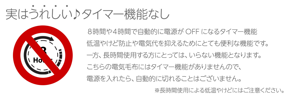 タイマー機能なし