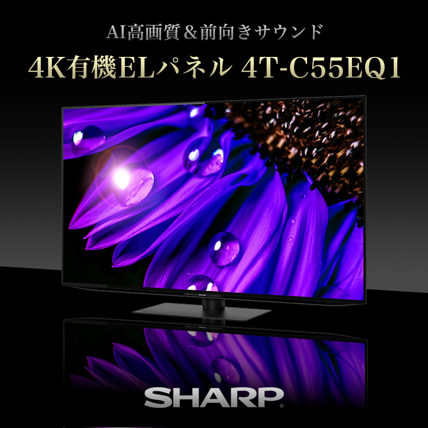 テレビ 55型 シャープ 4T-C55EQ1