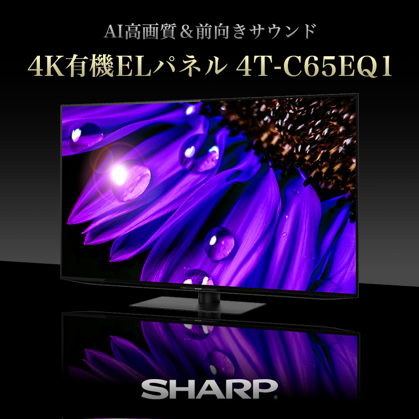 未使用品 SHARP シャープ アクオス 4K有機ELテレビ 4T-C65EQ1 65V型 未開封 - テレビ