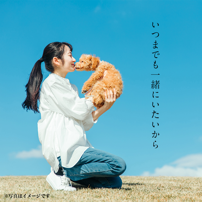 健康第一