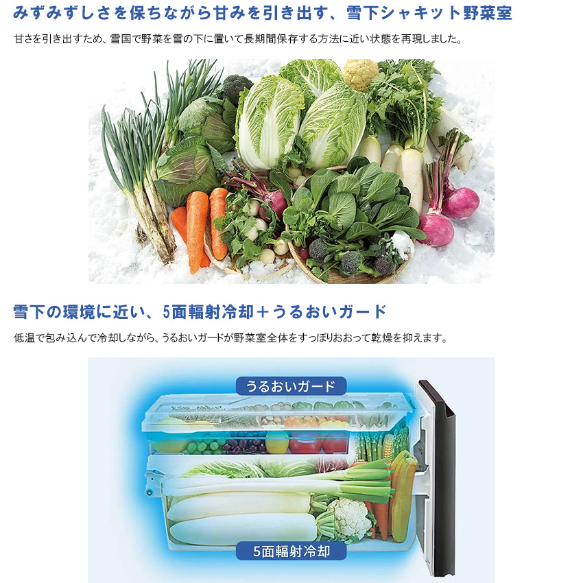 SHARP（シャープ） 冷蔵庫 502L SHARP 冷蔵庫 大型 大容量 冷凍室 右