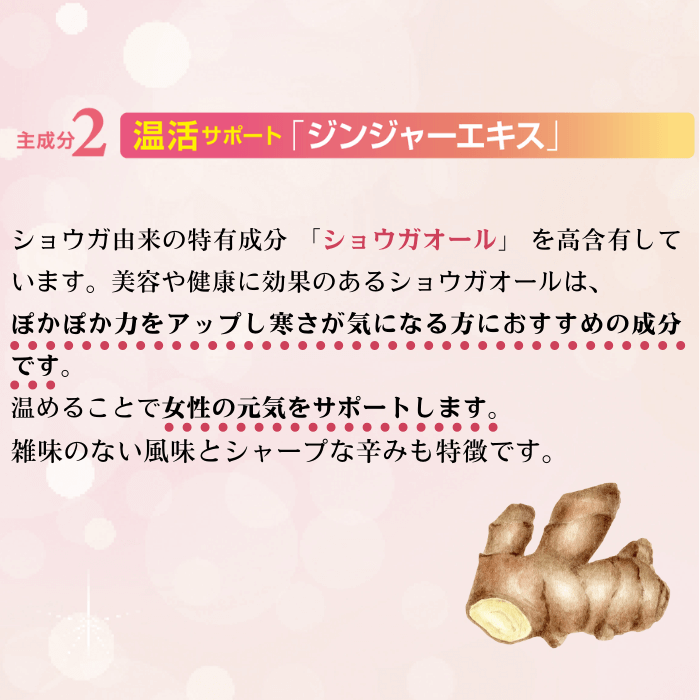BE-MAX Ginger-Emi Jelly（ビーマックス ジンジャー エミ ゼリー
