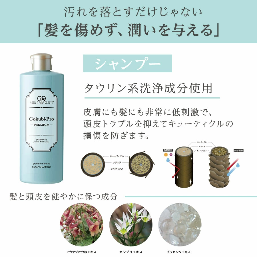 ゴクビプロ PREMIUM グリーンティーアロマ スカルプシャンプー スカルプケア 頭皮ケア 弱酸性 シャンプー アロマシャンプー グリーンティーアロマの香り |  | 12