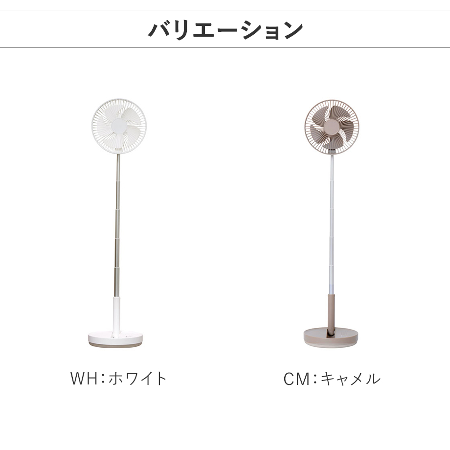 バリエーション