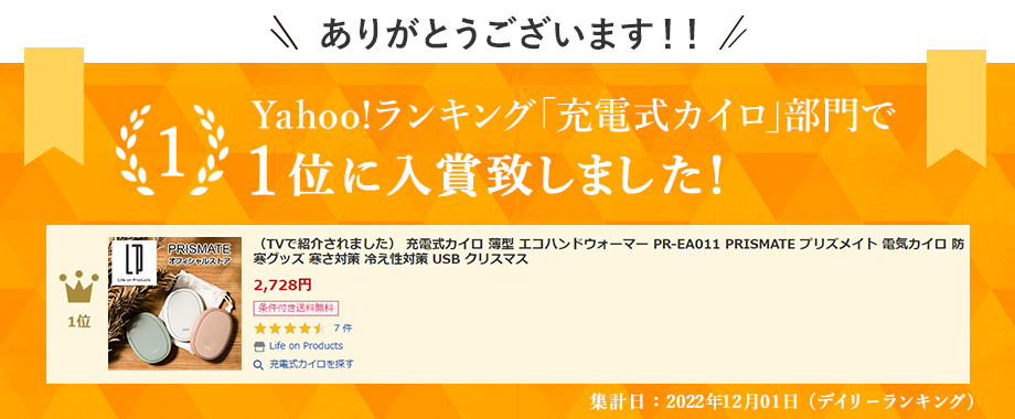 電気カイロ 充電式カイロ エコカイロ 2個セット ハンドウォーマー  防寒グッズ