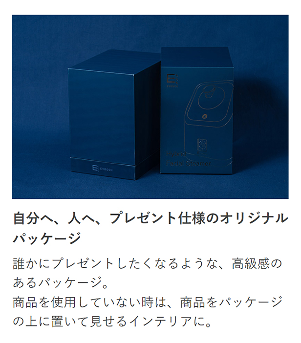 ハイブリッド フェイシャルスチーマー EVH-FC04 EVOOCH(エボーク