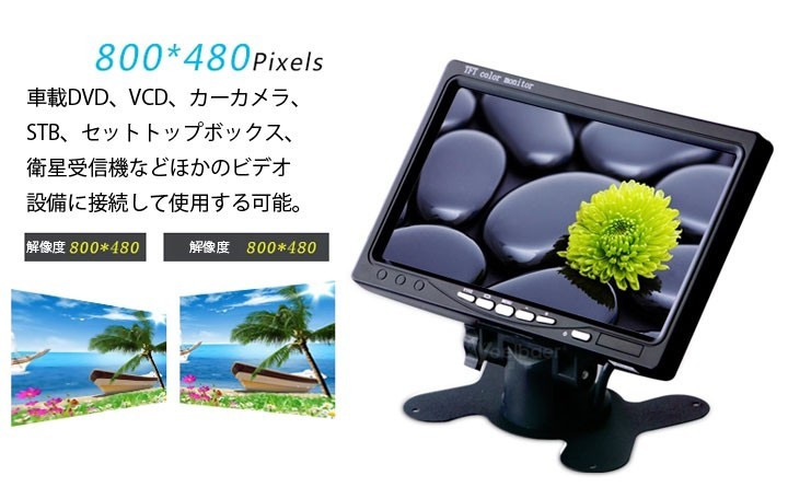 LP00770_2.jpg