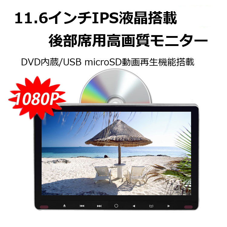 lp02624.jpg