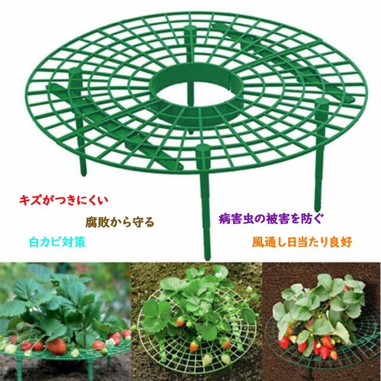スタンド（白）と植物育成球セット。お部屋の中で、イチゴが栽培できます。 いちご栽培セット｜家庭で育てる！人気の苺栽培キットの通販