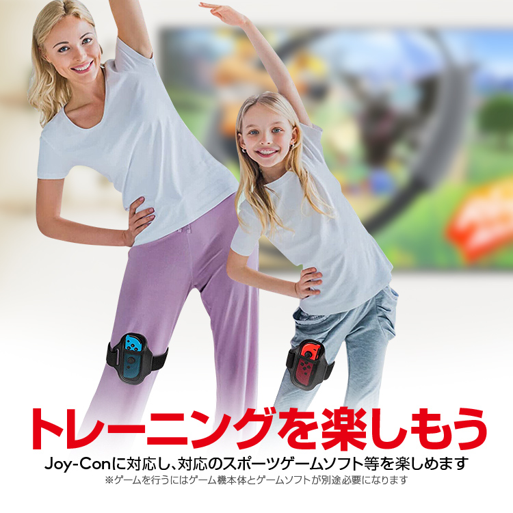 ジョイコンセット hhc-s001-1-2set-hori.jpg