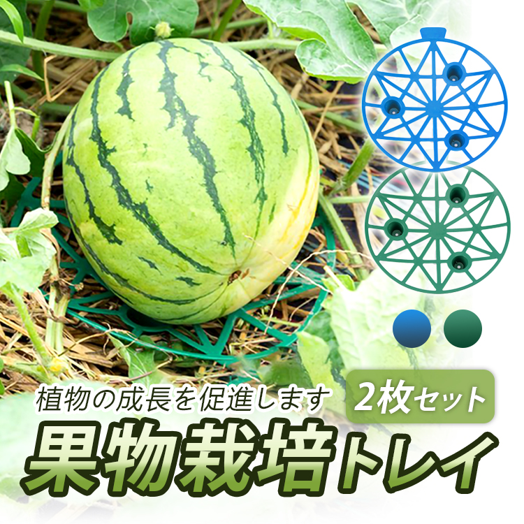 lp04601.jpg
