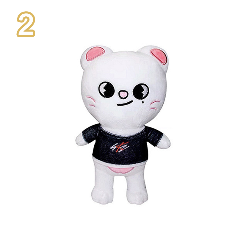 Stray Kids - Stray Kids SKZOO オリジナル　ぬいぐるみ 箱のみ。Stray Kids SKZOO Box 10cm ぬいぐるみ Fanmade BOX
